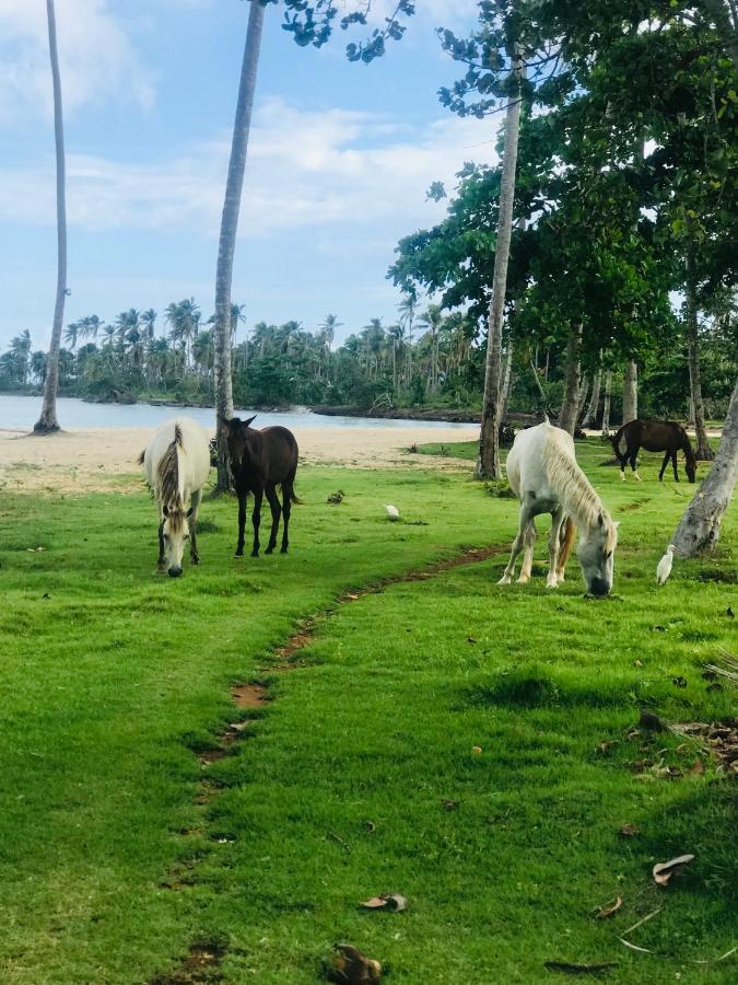 Oasis En La Naturaleza Rancho Alto Bonito Las Galeras Ngoại thất bức ảnh