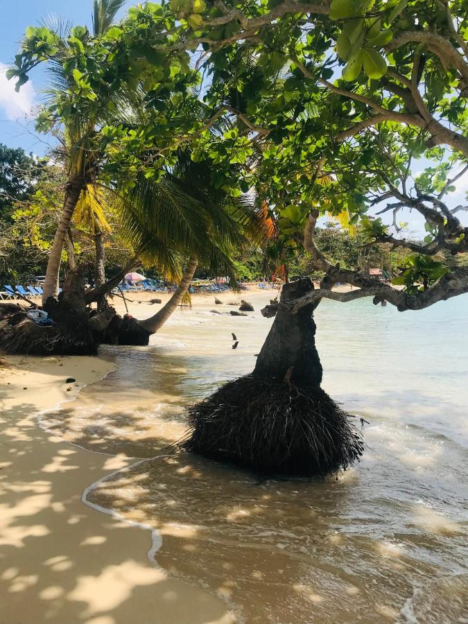 Oasis En La Naturaleza Rancho Alto Bonito Las Galeras Ngoại thất bức ảnh