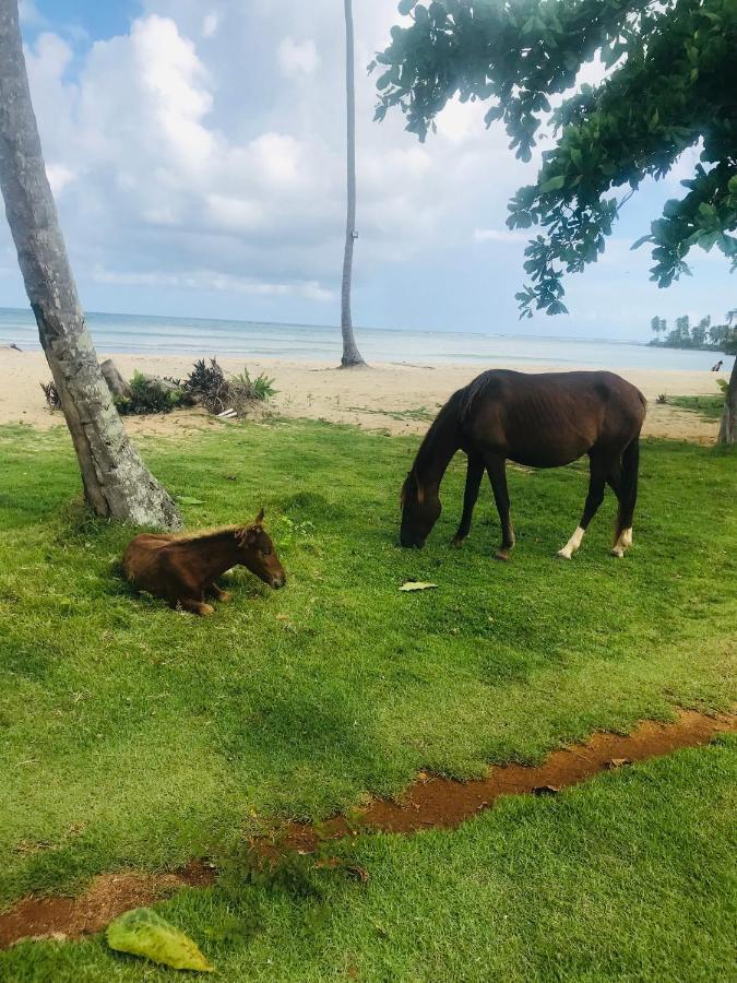 Oasis En La Naturaleza Rancho Alto Bonito Las Galeras Ngoại thất bức ảnh