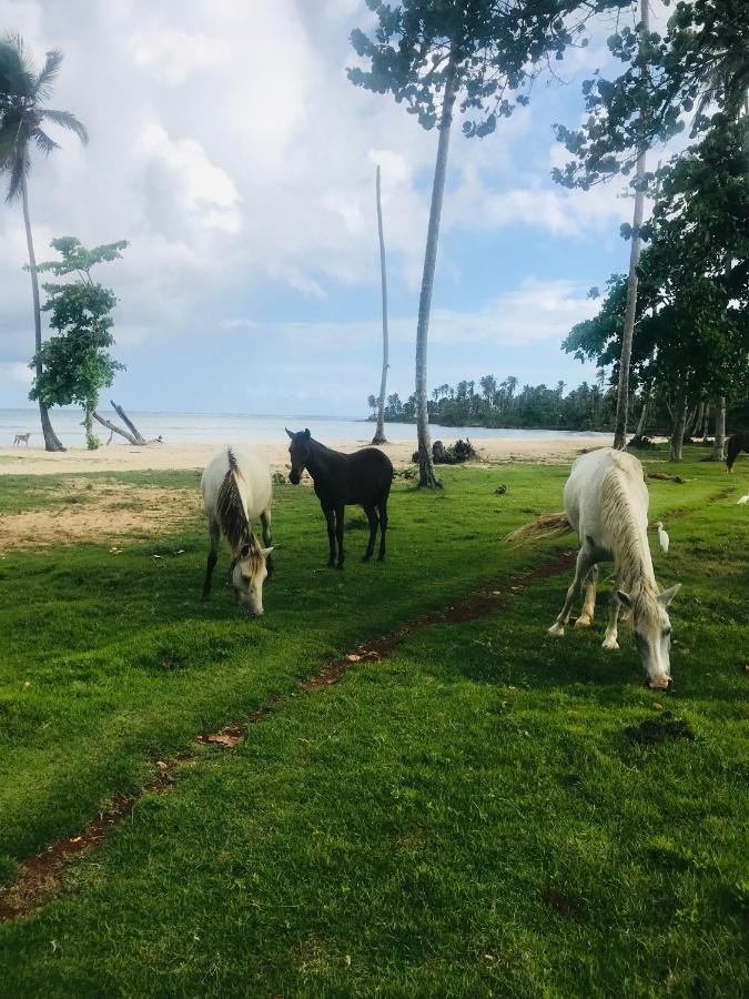 Oasis En La Naturaleza Rancho Alto Bonito Las Galeras Ngoại thất bức ảnh